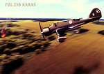 PZL. P-23B Karaś (1/4) WW2 Aircraft Collect. No. 08